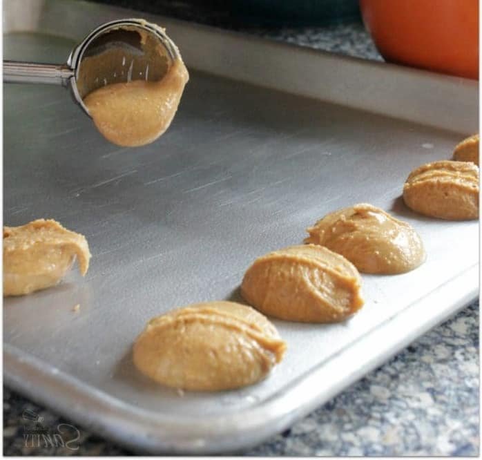 Tagalongs caseros: mejores que los originales 2 Instrucciones Tagalongs1